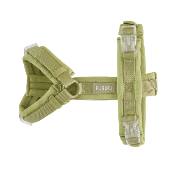 Comfort dog harness<span> - </span>XS, Lime