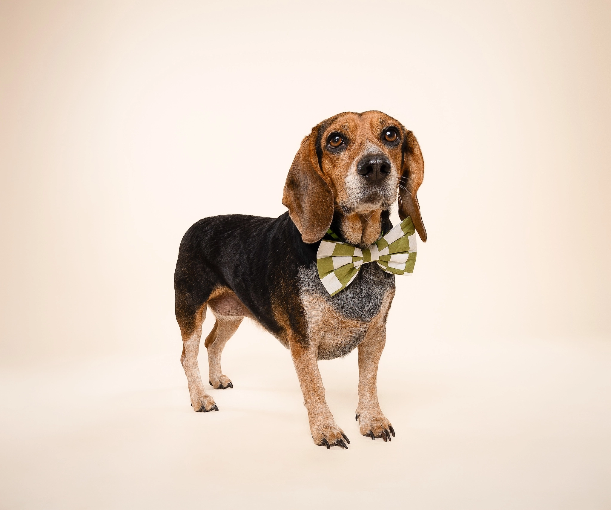 614b9ddbeff4877f6452f66500bfd6de503c8f8dd28d60e8715cfb9d3167c174