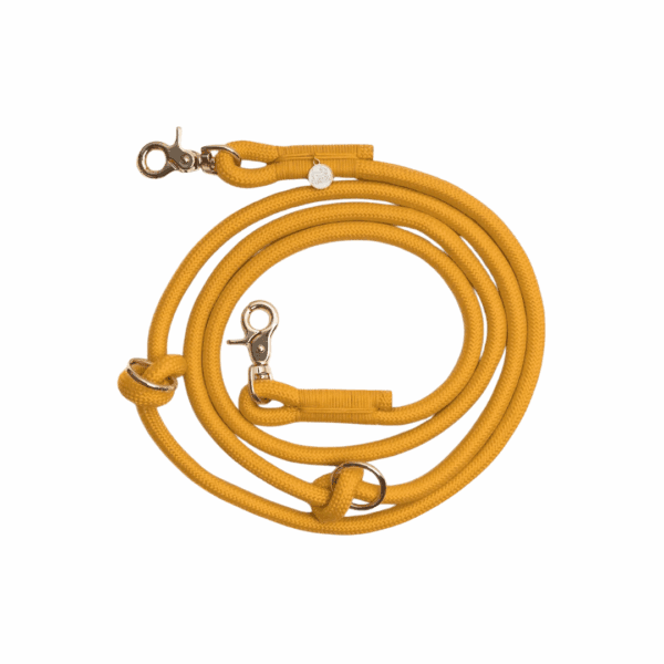 Hands-free dog leash<span> - </span>Yellow