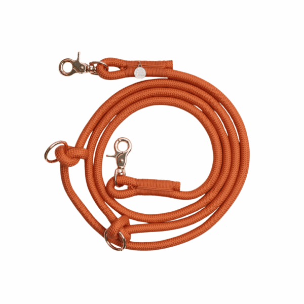 Hands-free dog leash<span> - </span>Terracotta