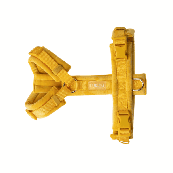 Velvet comfort hondentuig<span> - </span>XS, Yellow