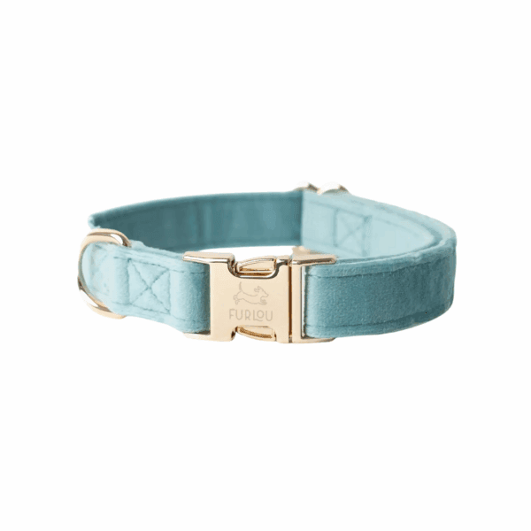 Velvet collar<span> - </span>M, Blue