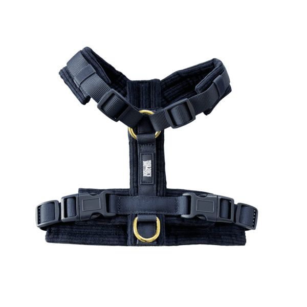 Rio indigo Y-tuig - L